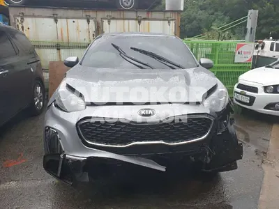 2021, Kia / Sportage, VIN: KNAPM813BMK902749, 19176 км., diesel