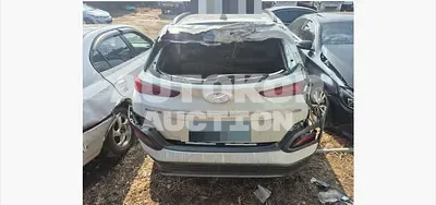 2019, Hyundai / Kona, 300000 км., electric, 180 куб.см.