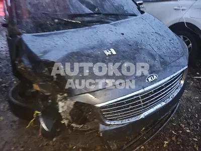 2017, Kia / Carnival, VIN: KNAMB81ABJS380683, 102000 км., diesel