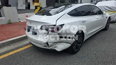 2020, Tesla / Model 3, 225850 км., electric