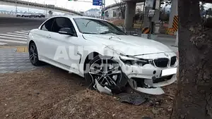 2018, BMW / 430, VIN: WBA4Z1102JEF34620, gas
