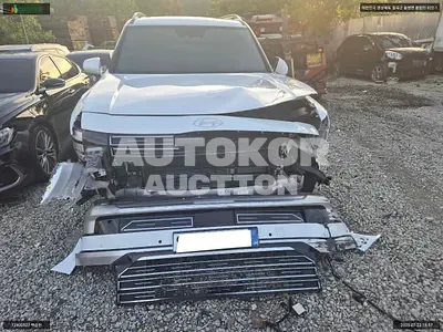 2025, Hyundai / Palisade, VIN: KMHRK811DTU011746, gas