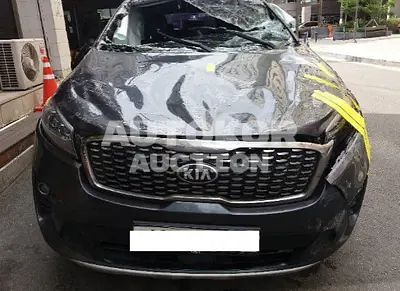 2019, Kia / Sorento, VIN: KNAPF81ABKA487399, 168008 км., diesel