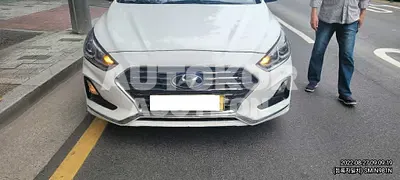 2019, Hyundai / Santa FE, VIN: KMHS381BBKU018207, diesel
