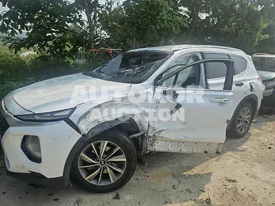 2019, Hyundai / Santa FE, VIN: KMHS281BBKU182203, 200890 км., diesel