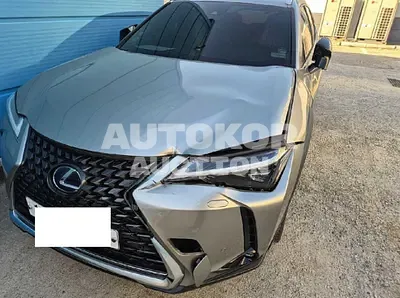 2019, Lexus / ux250h, hybrid