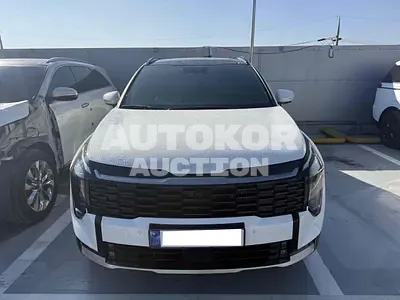 2025, Kia / Sportage, VIN: KNAPV81BBTK483478, 34 км., gas, 1598 куб.см.