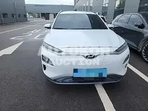 2019, Hyundai / Kona, VIN: KMHK381GFKU030818, 138002 км., electric, 180 куб.см.