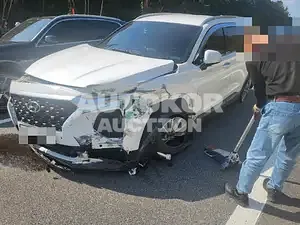 2019, Hyundai / Santa FE, VIN: KMHS281CDKU167493, diesel, 2199 куб.см.