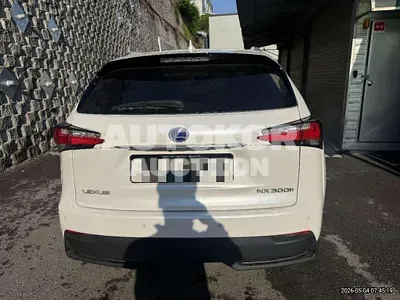 2015, Lexus / nx300h, 199304 км., hybrid