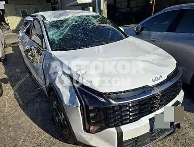 2024, Kia / Sportage, hybrid