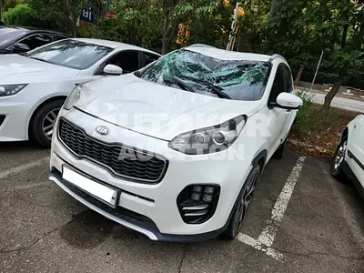 2016, Kia / Sportage, VIN: KNAPM813BHK211485, diesel