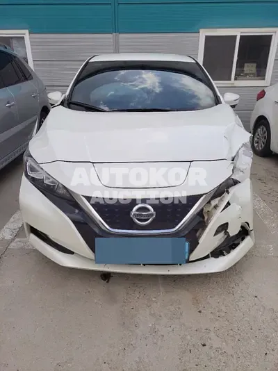 2019, Nissan / Leaf, 126190 км., electric