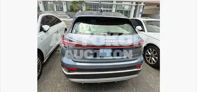 2022, Audi / e-tron, 137938 км., electric, 234 куб.см.