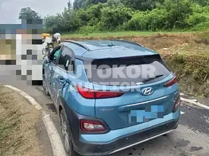 2019, Hyundai / Kona, VIN: KMHK381GFKU045359, 57634 км., electric