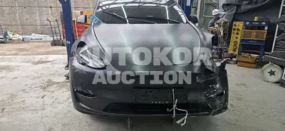 2022, Tesla / Model Y, 93509 км., electric