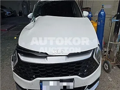 2022, Kia / Sportage, hybrid