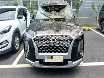 2021, Hyundai / Palisade, 97923 км., diesel, 2199 куб.см.