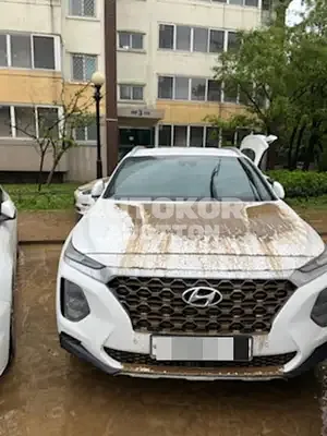 2019, Hyundai / Santa FE, gas