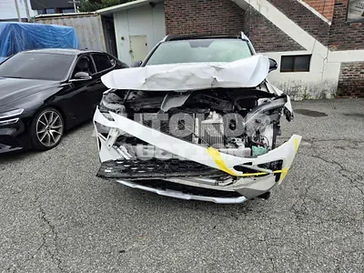2020, Hyundai / Santa FE, VIN: KMHS581HGMU325237, diesel
