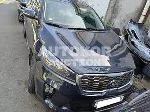 2019, Kia / Sorento, VIN: KNAPH81ABLA637479, diesel
