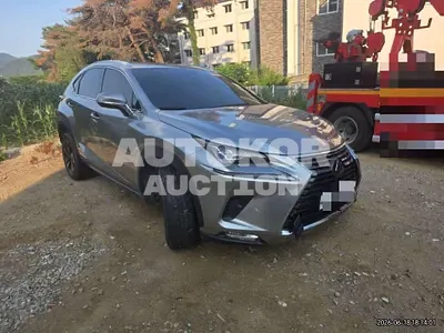 2020, Lexus / nx300h, 100000 км., hybrid