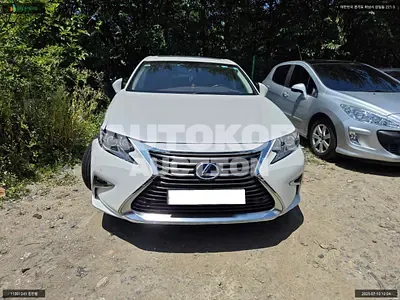 2017, Lexus / ES 300, VIN: JTHBW1GG9H2161994, 83604 км., hybrid