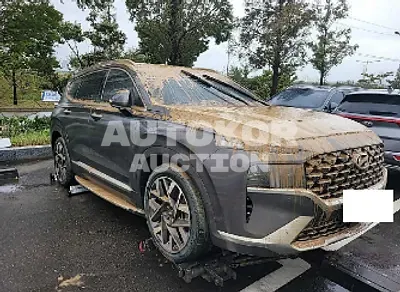 2021, Hyundai / Santa FE, VIN: KMHS581HHMU374733, diesel