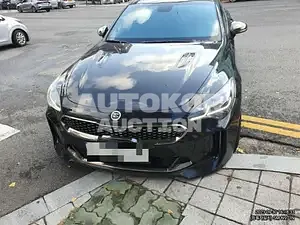 2017, Kia / Stinger, VIN: KNAE351ABJS006632, gas