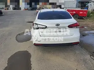 2017, BMW / Z1, VIN: KNAFK412BJA991621, gas, 1600 куб.см.