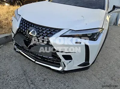 2025, Lexus / ux300h, 20000 км., hybrid