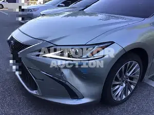 2021, Lexus / ES 300, unknown