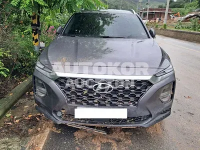2020, Hyundai / Santa FE, VIN: KMHS281ABLU287541, diesel