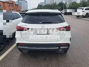 2020, Mercedes-Benz / GLA 250, VIN: W1N4N4HB4LJ144271, gas