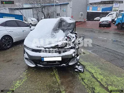2020, Audi / A5, VIN: KNAG3412BLA080919, gas
