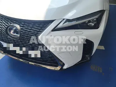 2020, Lexus / UX 250, unknown