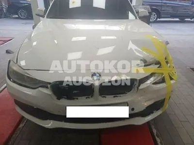 2016, BMW / 320, VIN: WBABT3106JGB04903, 247660 км., diesel