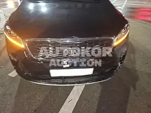 2019, Kia / Sorento, VIN: KNAPH81ABLA608777, diesel