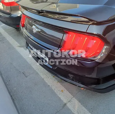 2019, Ford / Mustang, VIN: 1FA6P8TH3K5165641, 16564 км., gas
