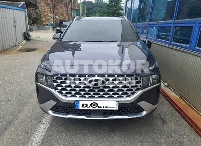 2021, Hyundai / Santa FE, VIN: KMHS381HHMU393687, 24280 км., diesel