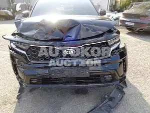 2021, Kia / Sorento, VIN: KNARJ81BGMA075401, 47983 км., diesel