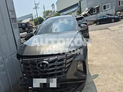 2023, Hyundai / Tucson, 33781 км., hybrid