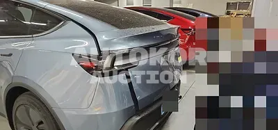 2025, Tesla / Model Y, VIN: LRWYGCFJ6SC029680, 301 км., electric, 180 куб.см.