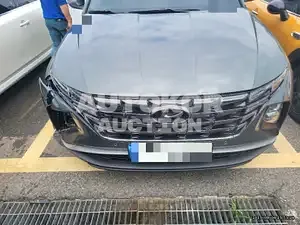 2021, Hyundai / Tucson, VIN: KMHJC81BGMU030929, 15438 км., gas