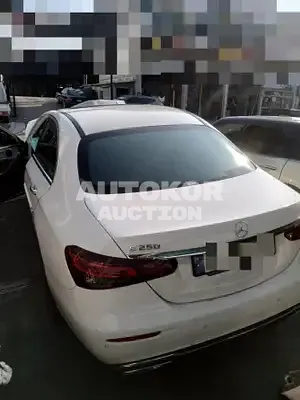 2021, Mercedes-Benz / E 250, VIN: W1KZF4FB4MA981493, 27000 км., gas, 1991 куб.см.