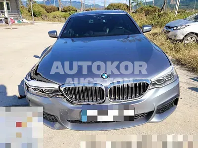 2017, BMW / 530, gas