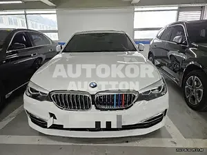 2020, BMW / 520, VIN: WBAJK9108LCE41654, 25660 км., gas