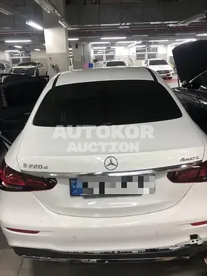 2021, Mercedes-Benz / E 220, VIN: W1KZF0FB9MA995124, 7165 км., diesel
