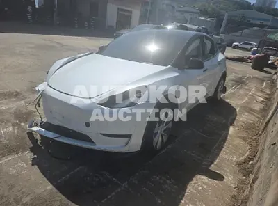 2024, Tesla / Model Y, 22000 км., electric, 173 куб.см.