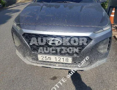 2019, Hyundai / Santa FE, VIN: KMHS281BDKU145146, 116027 км., diesel